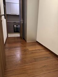 Daintree Residence (D21), Condominium #569477421